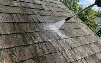 The Complete Guide to Roof Cleaning in Harford and Baltimore County, MD