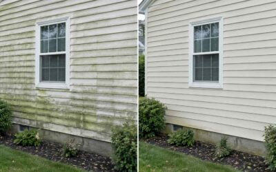 Vinyl Siding Cleaning in Harford County & Beyond: A Guide